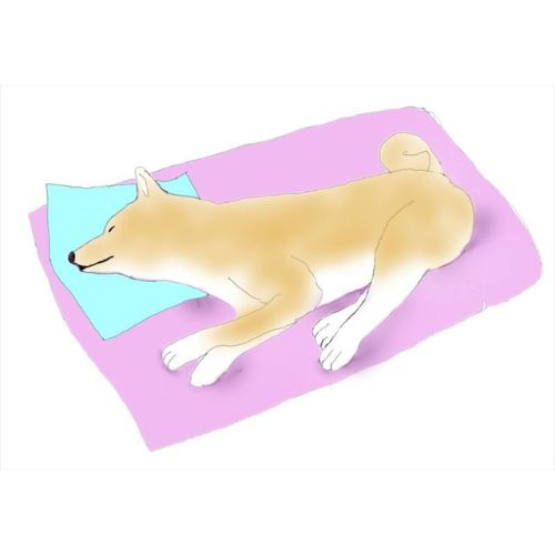 足を曲げて寝ている犬のイラスト