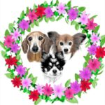 お花のリースの中にいる3匹の犬