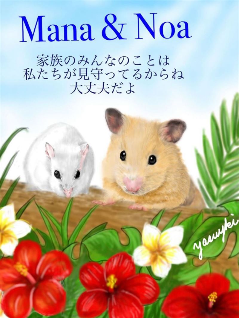 ハムスターさんの専用ページ hamster-02.jpg