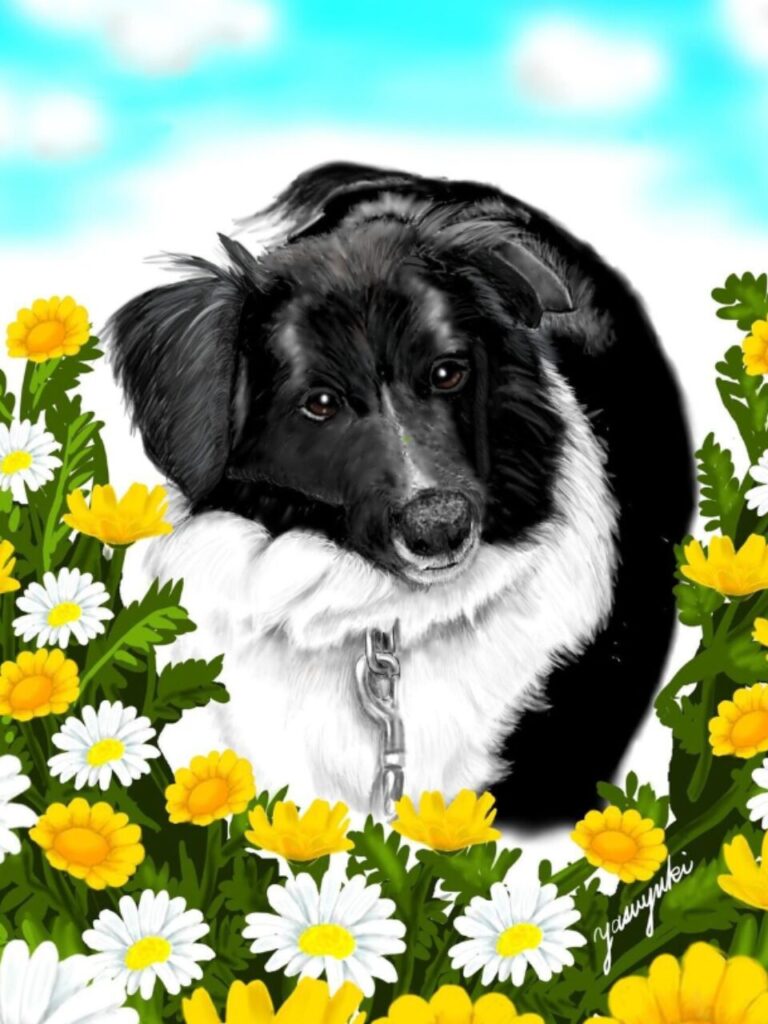 黄色と白のお花に囲まれたボーダーコリー犬