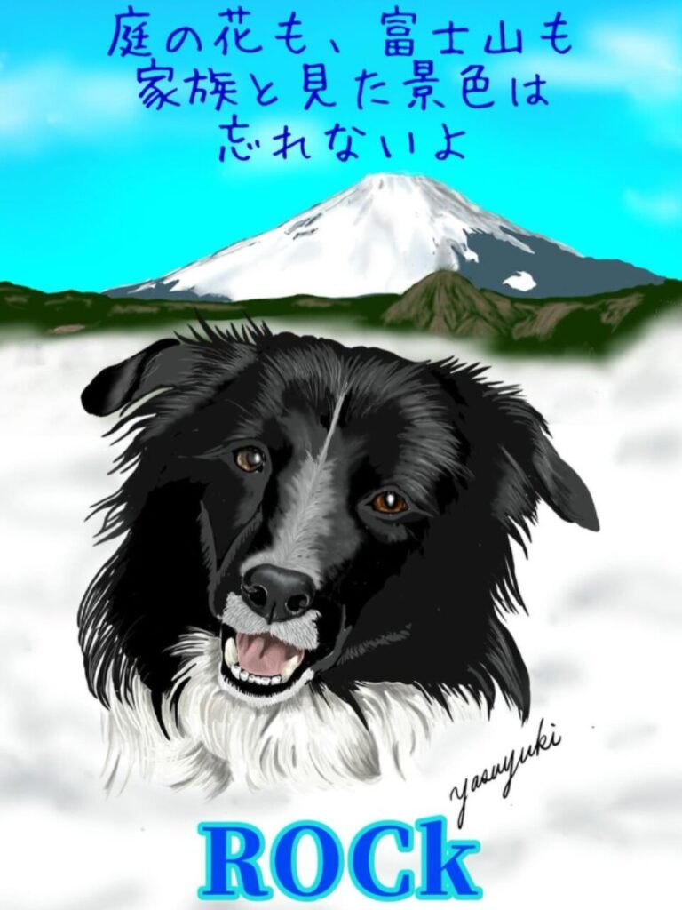 富士山の前で口を開けている白と黒のボーダーコリー犬