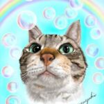 虹とシャボンに囲まれた猫