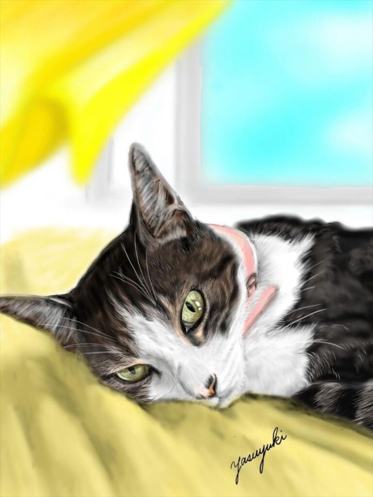 黄色のソファーの上で横になっている猫