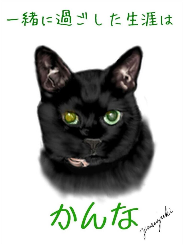 緑色の瞳の黒猫
