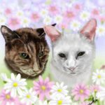 お花畑で寄り添う茶色の猫と白い猫