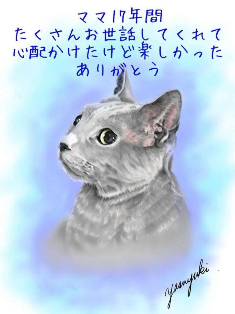 横顔のグレーの猫