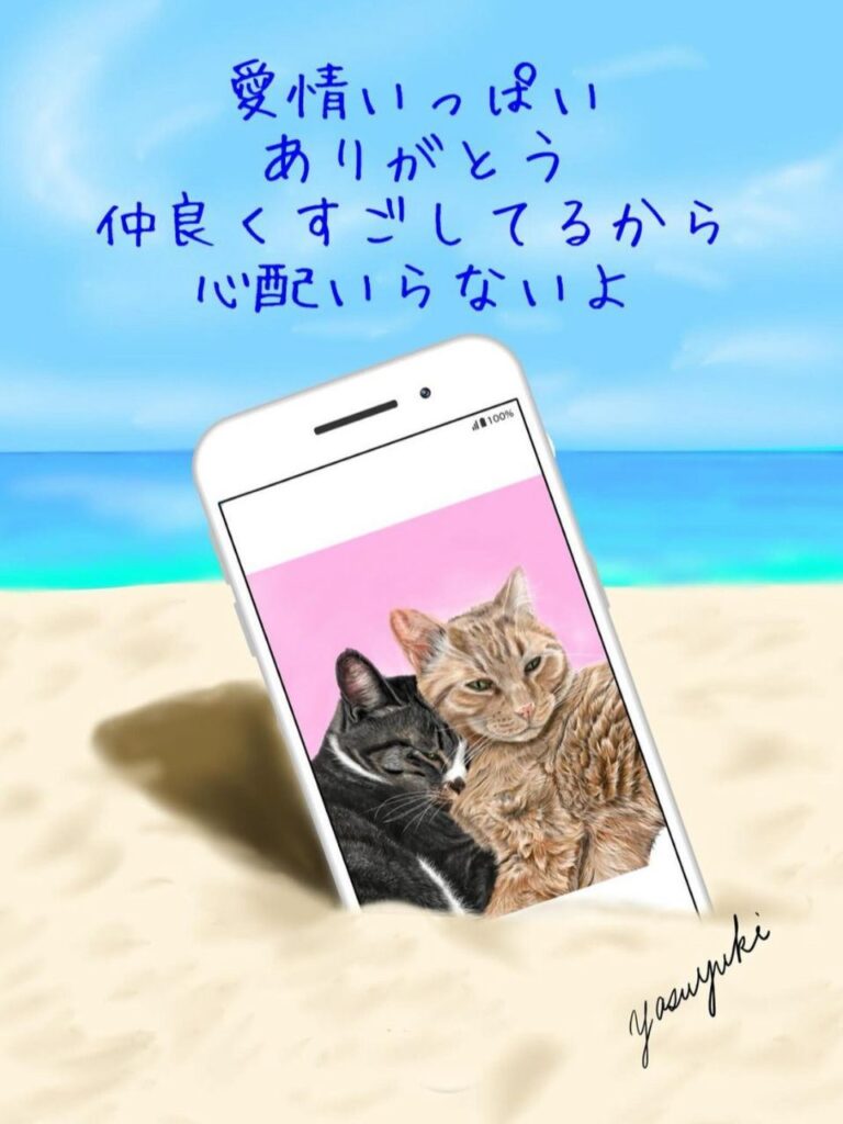 砂浜に置いているスマートフォンに写る二匹の猫