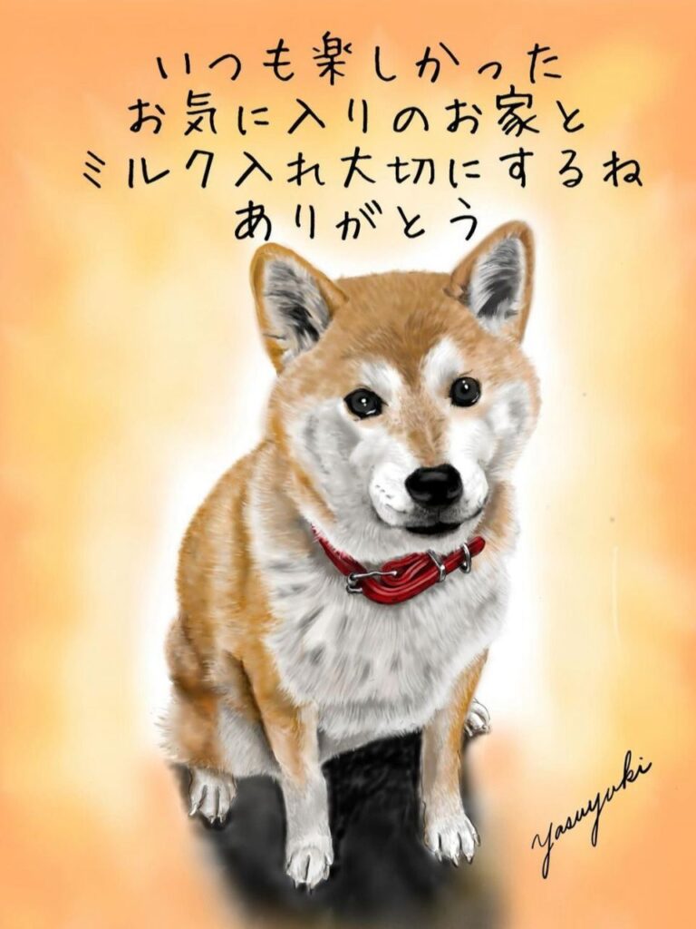 オレンジ色の背景で座ってこちらを見ている柴犬