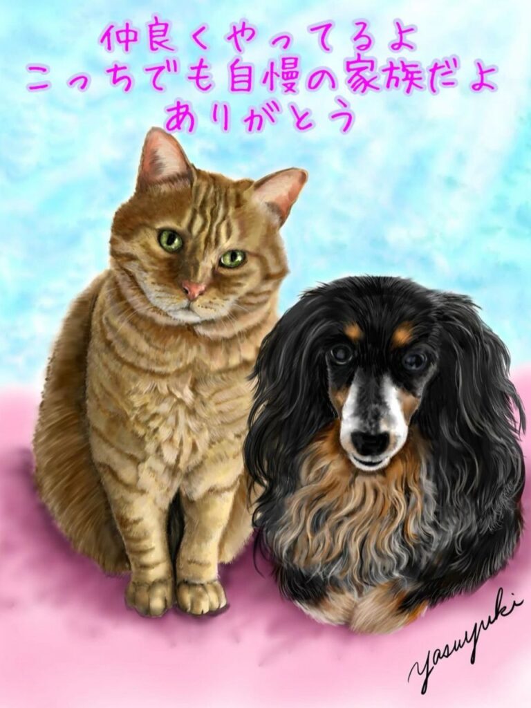 仲良く並んでいる茶色の猫と黒い犬