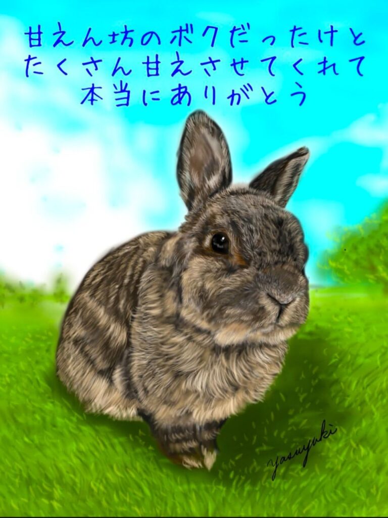 草原で座っているうさぎ