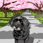 桜並木で散歩する黒のミックス犬