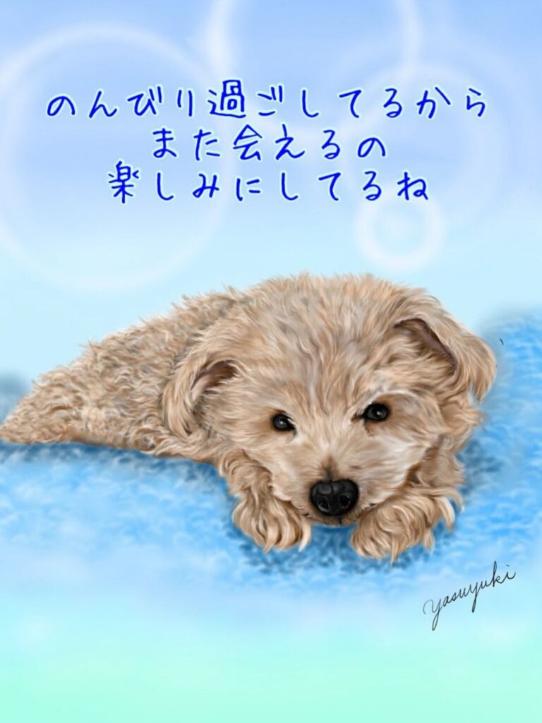 フワフワの上でくつろぐミックス犬