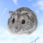 空で遊んでいるジャンガリアンハムスター