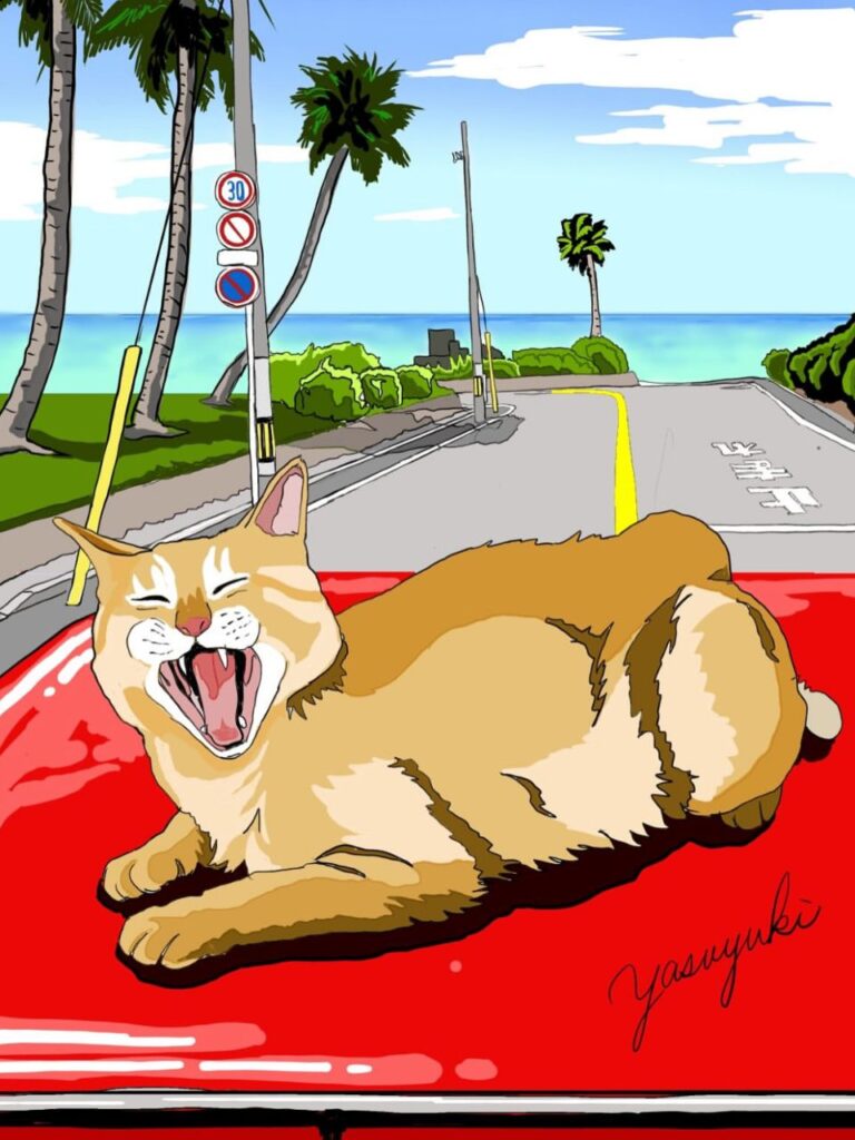 車の上であくびをしている猫