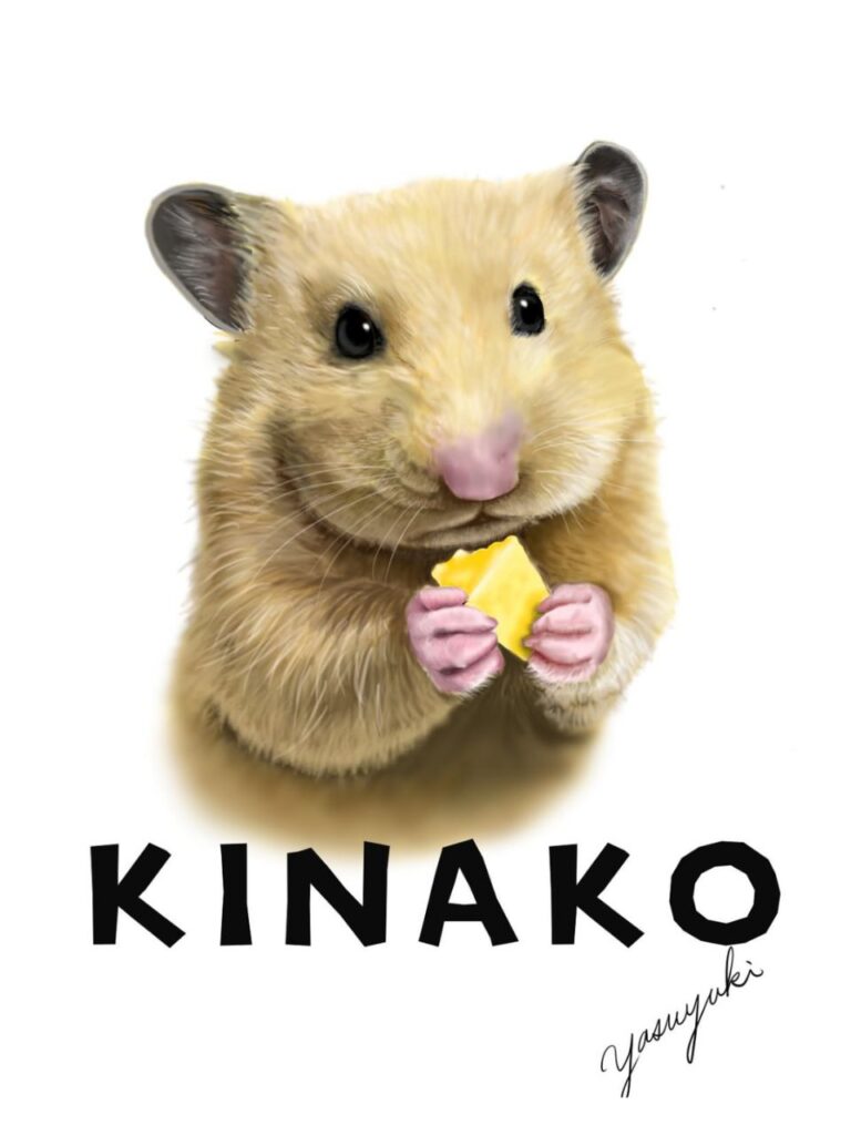 手にチーズを持っているキンクマハムスター