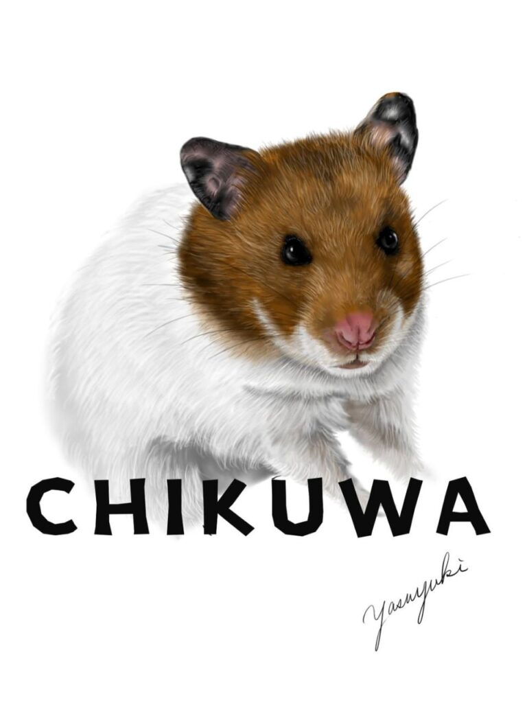 座ってこちらを見ているゴールデンハムスター