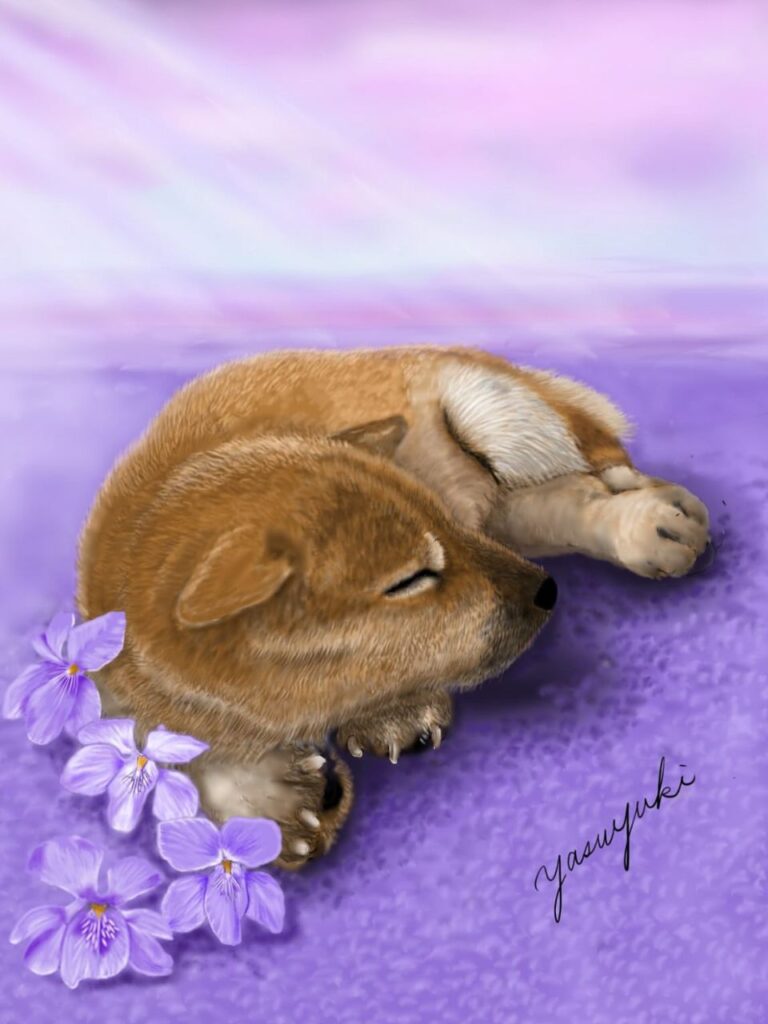 すみれの花に囲まれ眠っている柴犬