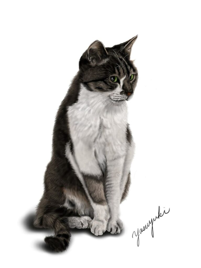 座っている白黒の猫