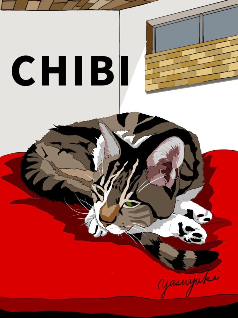 赤いクッションの上ででくつろぐ猫