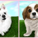 ミックス犬のテツくんとキャバリアのひまわりちゃん