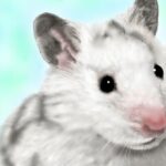 ダルメシアンハムスターのメシアくん