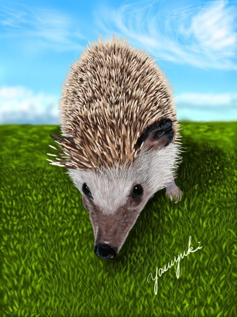 草原で遊ぶハリネズミ