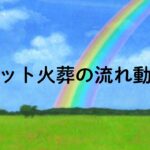 虹が架かる草原