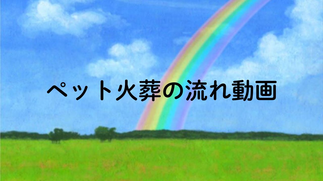 訪問ペット火葬の流れ動画