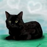 曇り空の草原に座っている黒猫