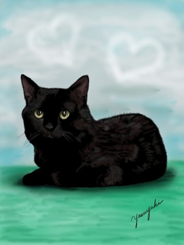 曇り空の草原に座っている黒猫