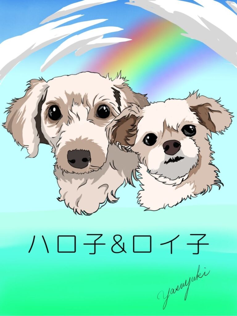 虹を背景に並ぶ二匹の犬