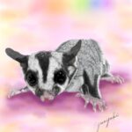 ふんわりとした背景の中に居るフクロモモンガ