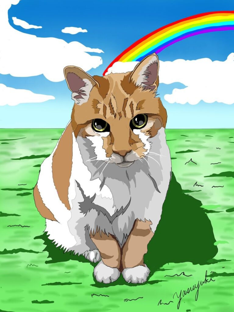 お見送りした猫ミーちゃんと虹のイラスト